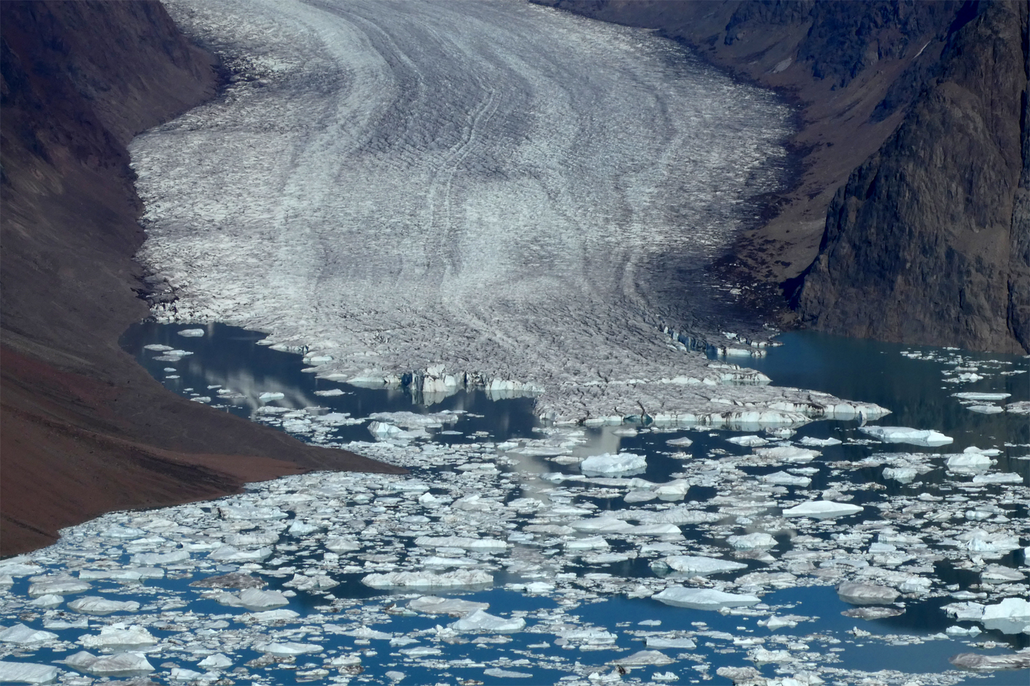 Gletscher der kælver ud i Motzfeldt sø