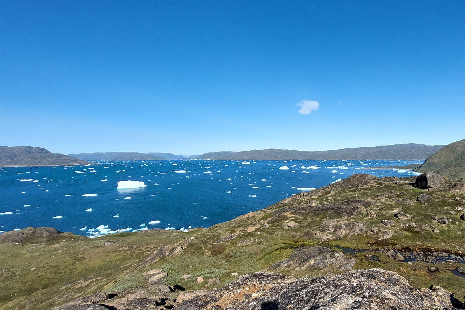 Udsigt over Bredefjord, Narsaq