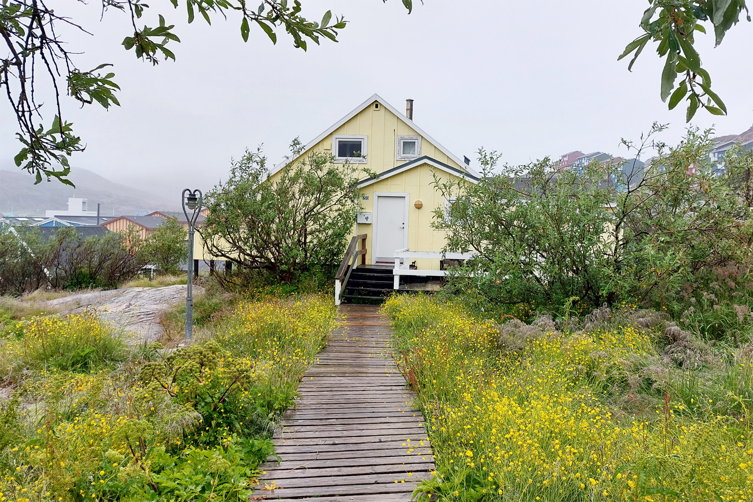 hus med blomster i Qaqortoq